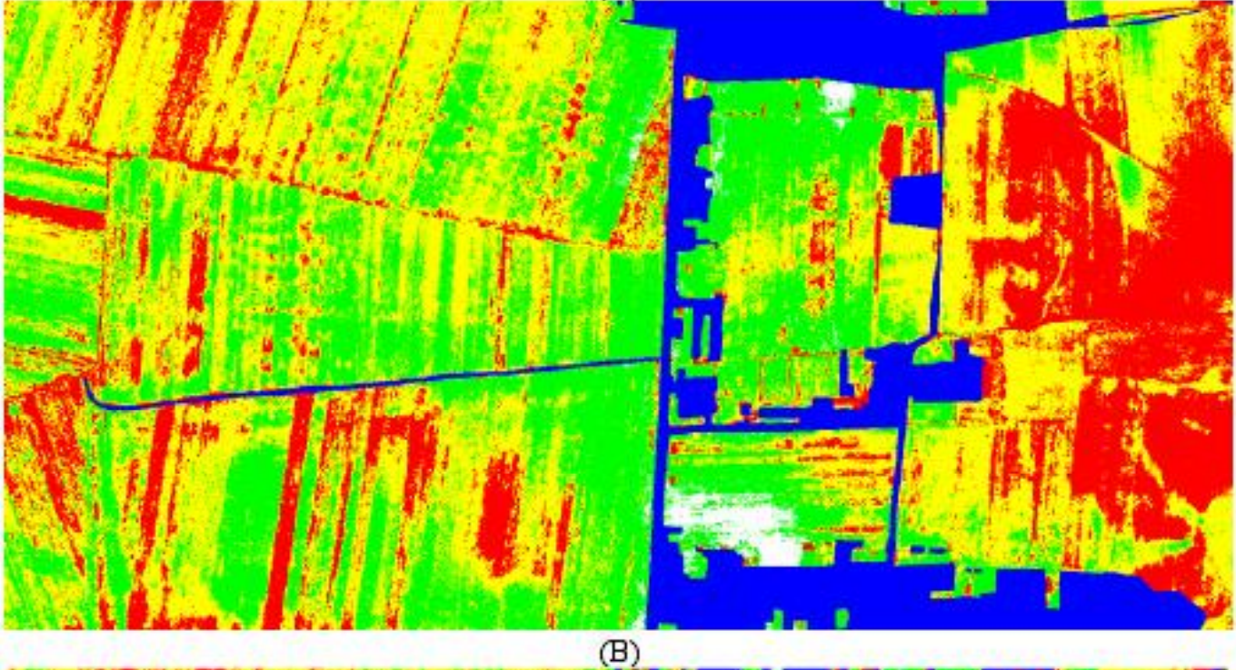 高光谱成像仪在玉米旱灾识别与分级的应用(图2) image.png